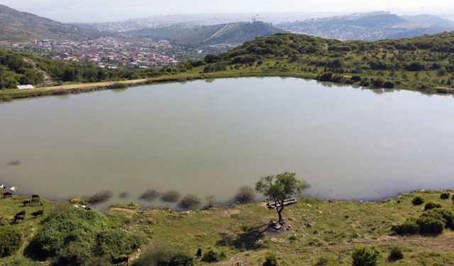 Bayraklı Doğançay'ın mesire alanı olması için çalışmalar başladı