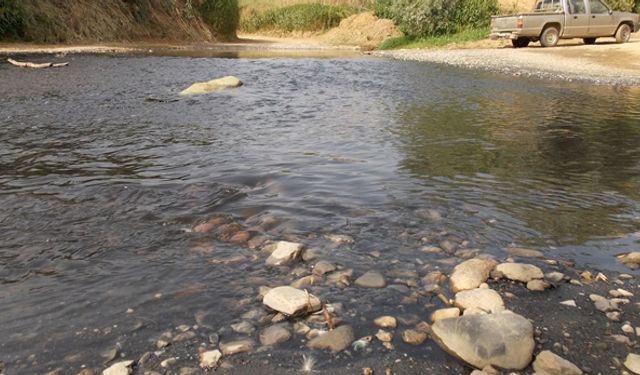 Bir dönem balıkların yüzdüğü Küçük Menderes Nehri'nden şimdi zift akıyor