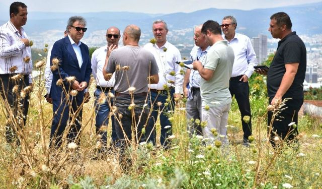 Bornova Altındağ’a seyir terası yapılacak