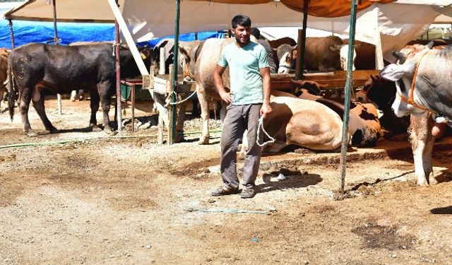 Bornova Kurban Bayramı’na hazır