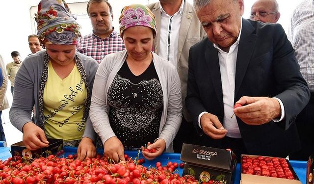 Büyükşehir Ödemiş’te Meyve Tesisi Kurdu