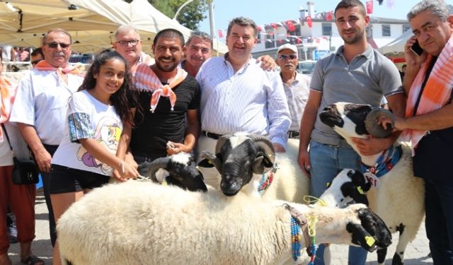 Çeşme’de Sakız Koyunu Festivali sona erdi