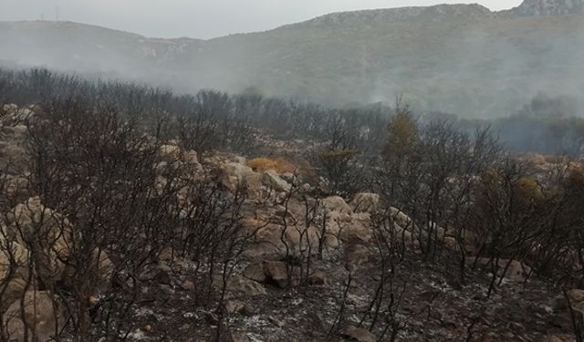 Çeşme'ye düşen yıldırım, Ildır Mahallesi'nde yangın çıkardı