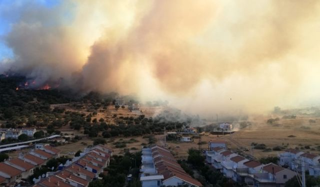 Dikili Çandarlı’da yangın paniği