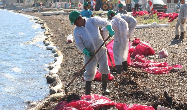 Foça Gencelli’de deniz kirliliği.. Sahil petrol atıkları ile kirlendi