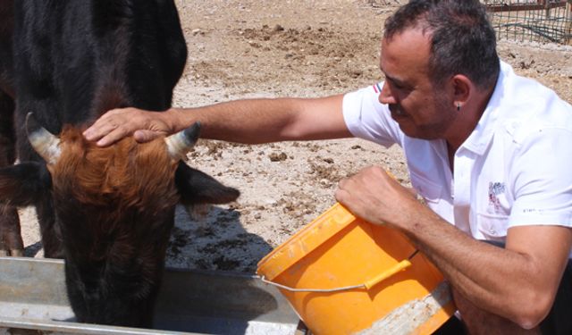 Haluk Levent, Babalar Günü'nde ''dede'' oldu