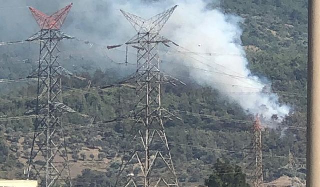 İzmir Bornova Gökdere'de orman yangını çıktı