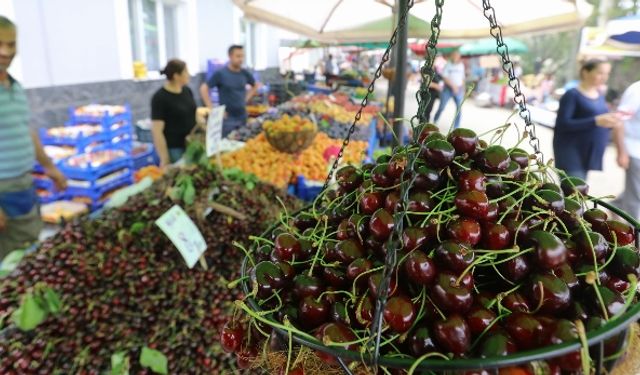 Buca Belenbaşı Kiraz Festivali yapıldı