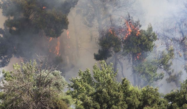 İzmir Buca'da yaşanan yangın vatandaşları korkuttu