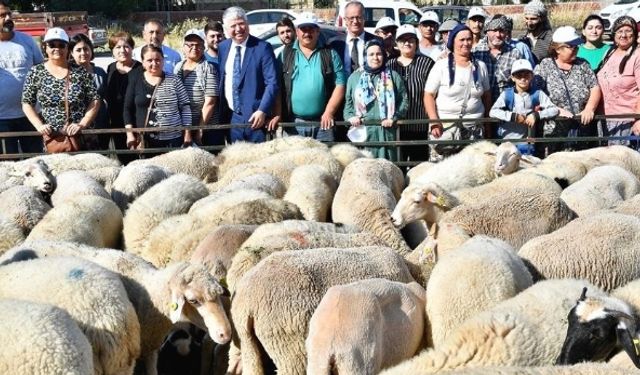 İzmir Büyükşehir Belediyesi’nden küçükbaş hayvan hibesi