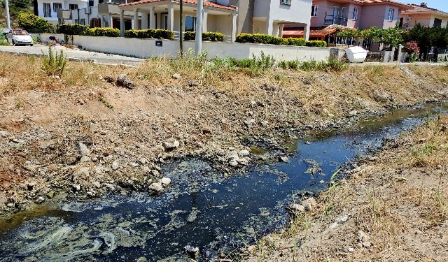 İzmir Çeşme’de kötü koku isyan ettirdi