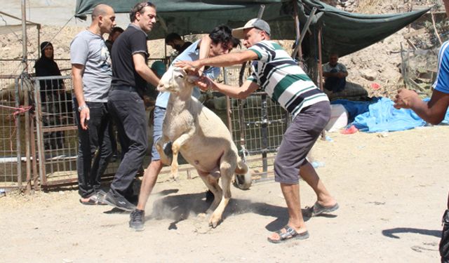 İzmir'de Kurban Bayramı'nın 1. günü 22 yaralı