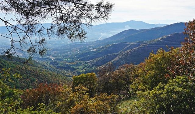 İzmir’den ‘Efeler Yolu’na yürüyüş rotası belirlendi