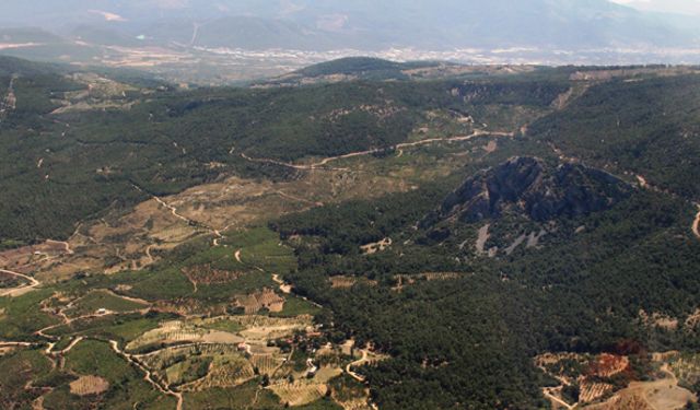 İzmir Orman Bölge Müdürlüğü, yangın tedbirlerini aldı