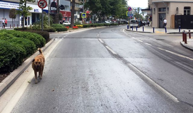 İzmirlilerin tatil bölgelerine gitmesiyle şehir merkezi bomboş kaldı