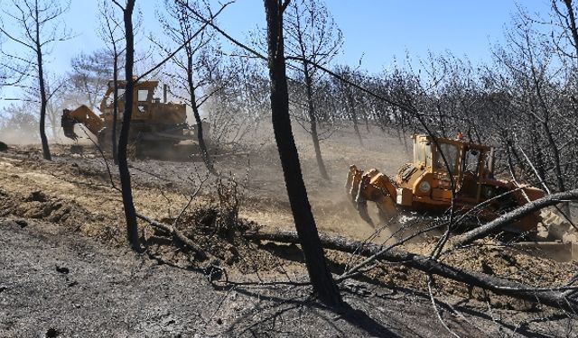 Karabağlar'da yanan alanlar için çalışmalar başladı