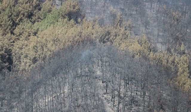 Karabağlar yangını kontrol altına alındı