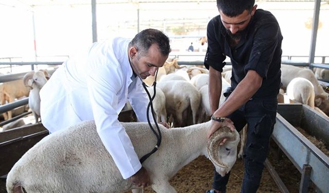 Kesim yerleri belirlendi, Karşıyaka bayram hazırlıklarını tamamladı