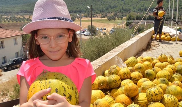 Nohutalan'daki kavun festivali, üreticilerin yüzünü güldürdü