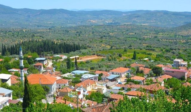 Torbalı’da ‘Börülce Festivali’ düzenlenecek