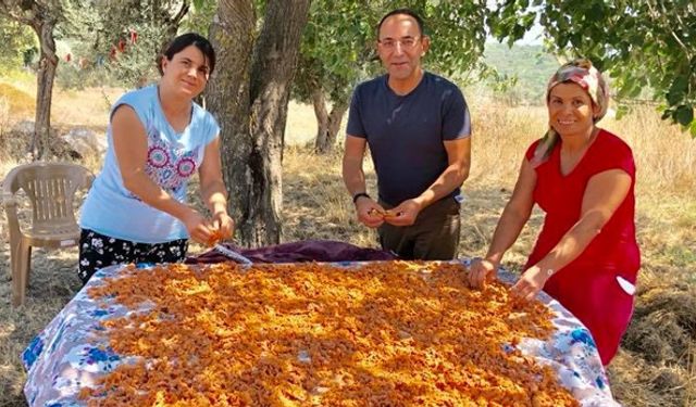 Urla Tarhana Şenliği başlıyor!