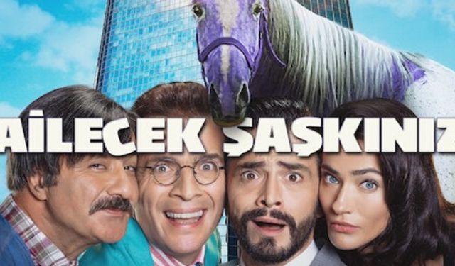 Ailecek Şaşkınız filmi nerede çekildi ne zaman çekildi hangi kanalda oynuyor oyuncuları kim?