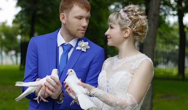 Nikah güvercini fiyatları, düğün güvercini kiralama hizmeti