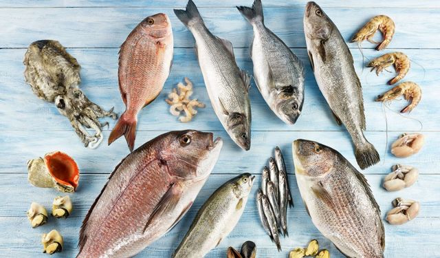 Ege Bölgesi balık ve su ürünleri ihracatı 11 ayda 1 milyar dolar
