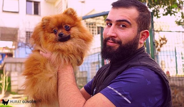 İstanbul'da Köpek Eğitiminin En İyi Merkezi: Uzman Eğitmen Murat Güngör