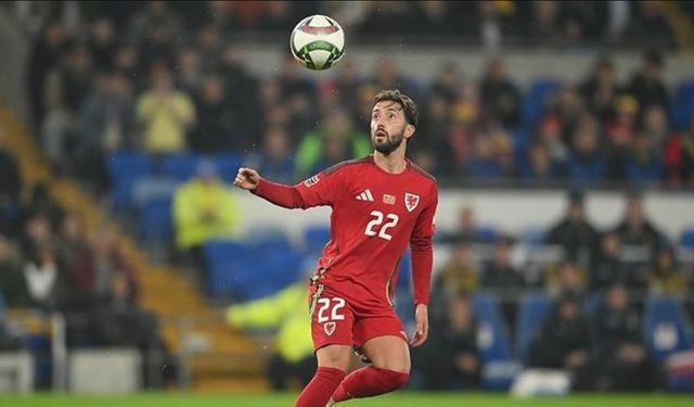 Josh Sheehan hangi takımda oynuyor hangi takımlarda oynadı toplam kaç gol attı aslen nereli?