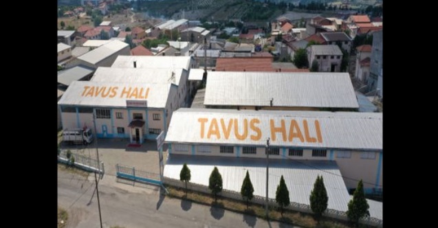 Cami Halısı Modelleri Tavus Halı